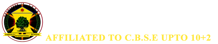 Emerald International School